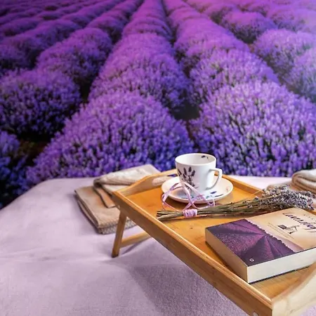 Uroczy, Komfortowy Dla 6 Osob - Апартаменты Шклярска-Поремба